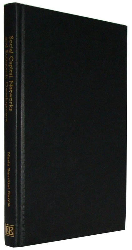 Social Capital, Networks and Economic Development: An Analysis of Regional Productive Systems