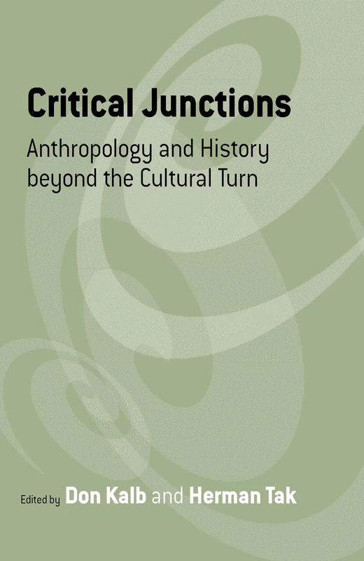 Critical Junctions: Anthropology and History beyond the Cultural Turn