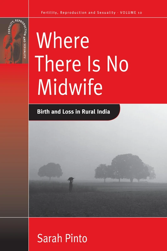 Where There Is No Midwife: Birth and Loss in Rural India: 10 (Fertility, Reproduction and Sexuality: Social and Cultural Perspectives, 10)