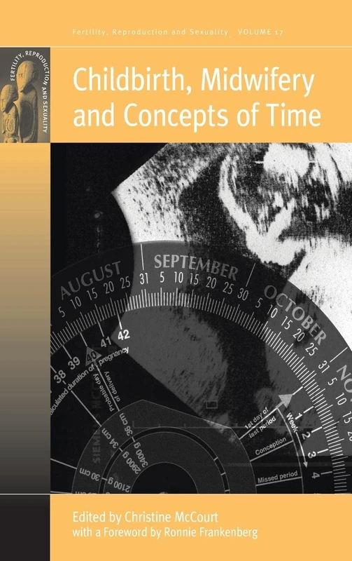 Childbirth, Midwifery and Concepts of Time: 17 (Fertility, Reproduction and Sexuality: Social and Cultural Perspectives, 17)