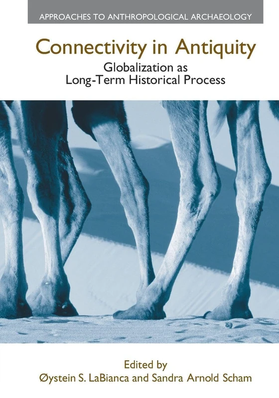Connectivity in Antiquity: Globalization as a Long-Term Historical Process (Approaches to Anthropological Archaeology)