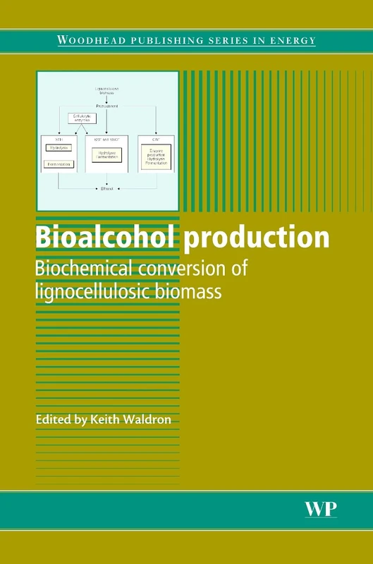 Bioalcohol Production: Biochemical Conversion of Lignocellulosic Biomass (Woodhead Publishing Series in Energy)