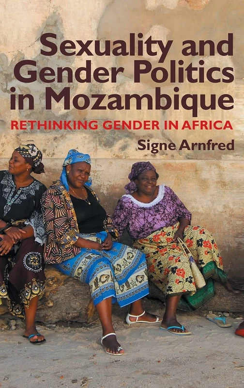 Sexuality and Gender Politics in Mozambique: Rethinking Gender in Africa - Image 1