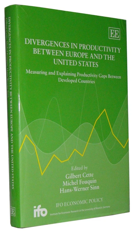 Divergences in Productivity Between Europe and the United States: Measuring and Explaining Productivity Gaps Between Developed Countries (Ifo Economic Policy series) - Image 1