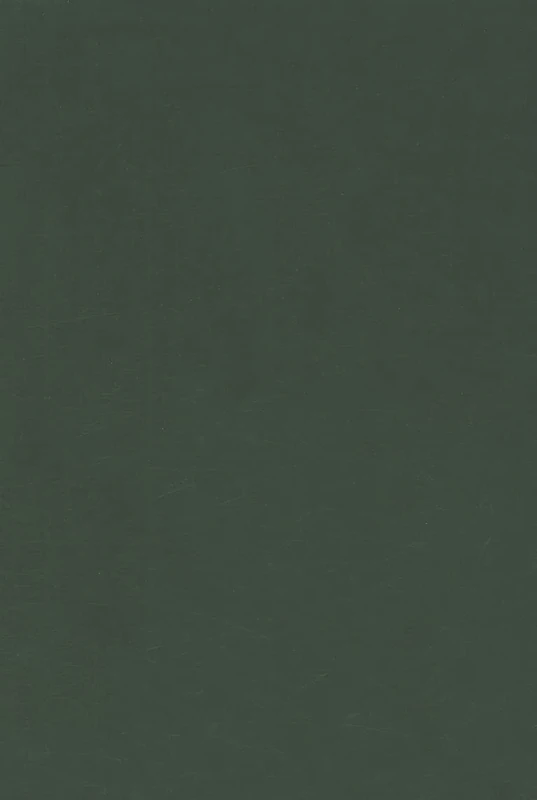 Desirable Literacies: Approaches to Language and Literacy in the Early Years (Published in association with the UKLA)