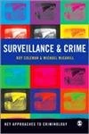 Surveillance and Crime (Key Approaches to Criminology)
