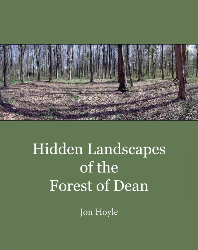 Hidden Landscapes of the Forest of Dean (Historic England)