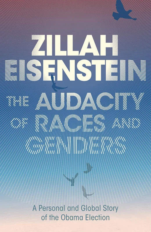 The Audacity of Races and Genders: A Personal and Global Story of the Obama Election - Image 1