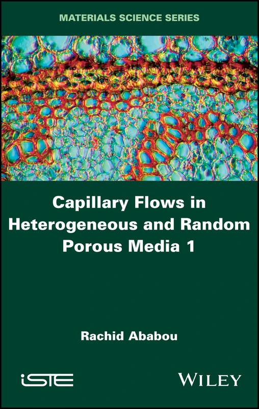 Capillary Flows in Heterogeneous and Random Porous Media (Focus)