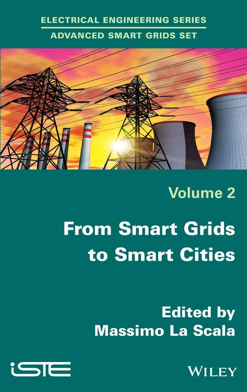 From Smart Grids to Smart Cities: New Challenges in Optimizing Energy Grids