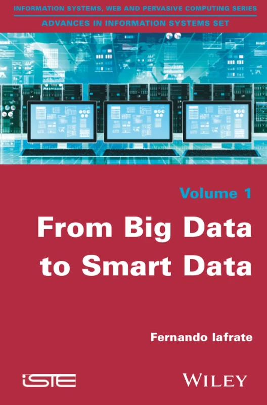 From Big Data to Smart Data (Advances in Information Systems Set, 1)