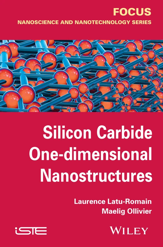 Silicon Carbide One-dimensional Nanostructures (Focus: Nanoscience and Nanotechnology) - Image 1