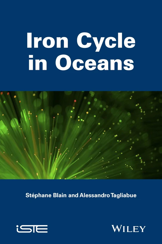 Iron Cycle in Oceans (Focus)