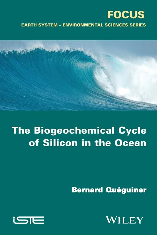 The Biogeochemical Cycle of Silicon in the Ocean (Focus) - Image 1