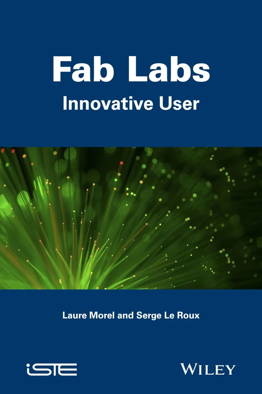 Fab Labs: Innovative User (Innovation, Entrepreneurship, Management Series: Smart Innovation Set, 5)