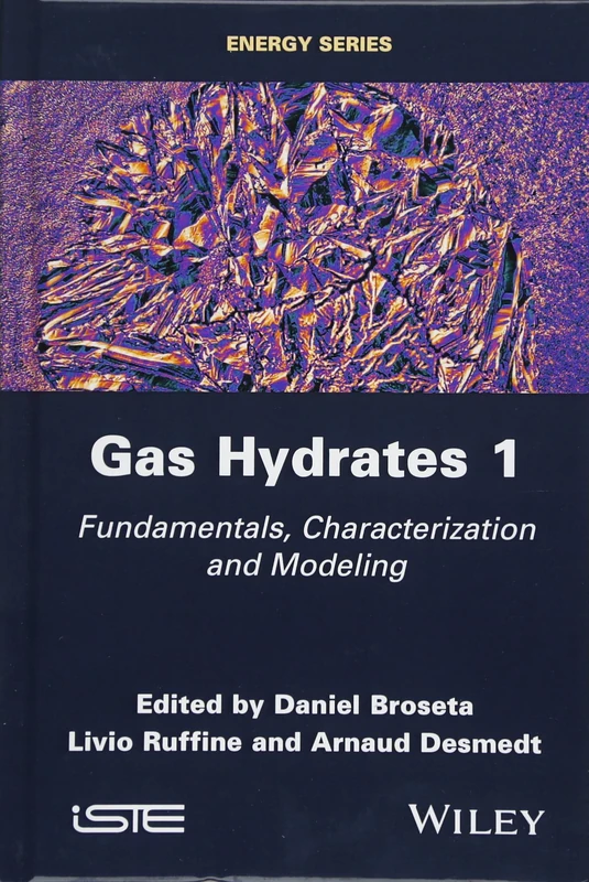 Gas Hydrates 1: Fundamentals, Characterization and Modeling (Energy, 1) - Image 1