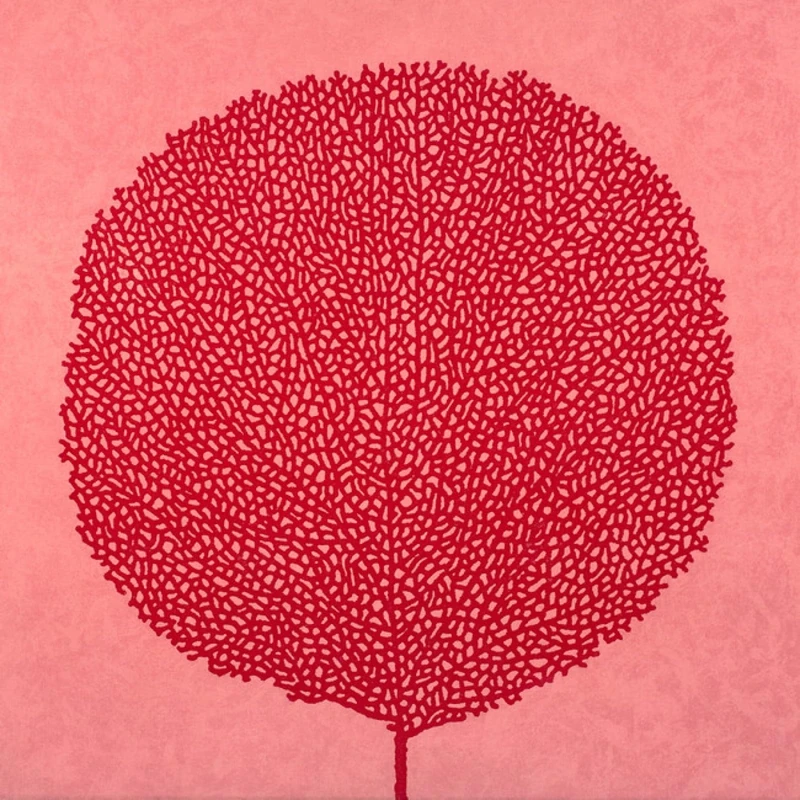 Abigail McLellan - Image 1