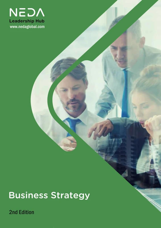 NEDA Leadership Hub: Business Strategy