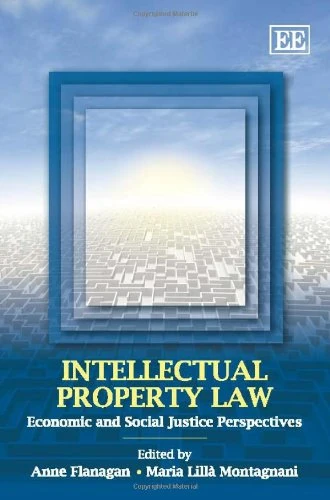 Intellectual Property Law: Economic and Social Justice Perspectives