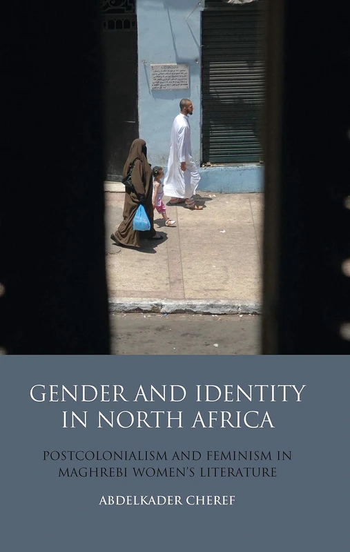 Gender and Identity in North Africa: Postcolonialism and Feminism in Maghrebi Women's Literature: v. 94 (Library of Modern Middle East Studies)