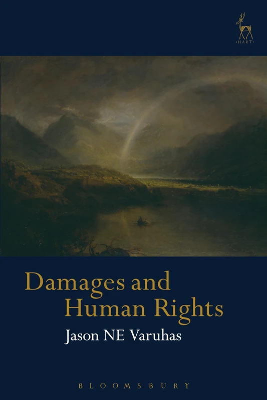 Damages and Human Rights: A Tort-Based Approach (Hart Studies in Private Law)