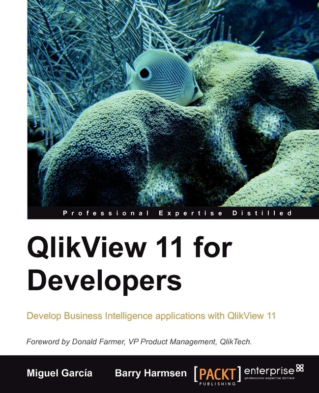 QlikView 11 for Developers: Effective analytics techniques for modern Business Intelligence: This book is smartly built around a practical case study ... using QlikView. A superb hands-on guide