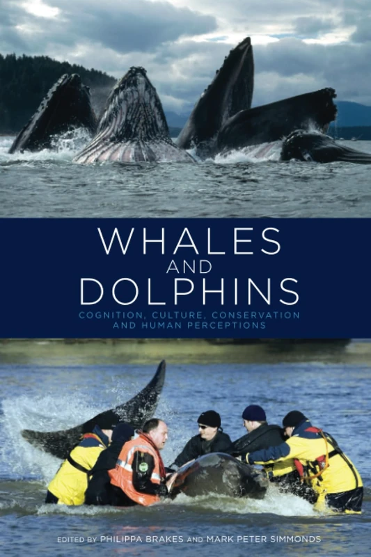 Whales and Dolphins: Cognition, Culture, Conservation and Human Perceptions (Earthscan Oceans)