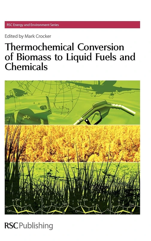 Royal Society of Chemistry - Thermochemical Conversion of Biomass - Image 1