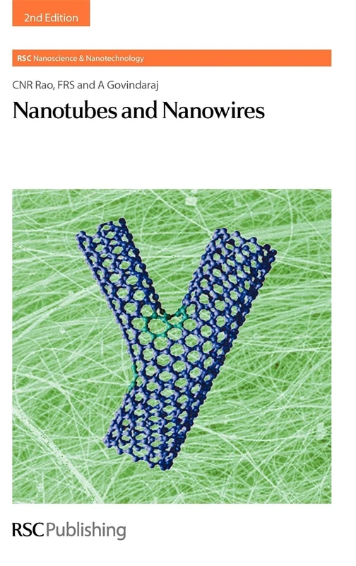 Nanotubes and Nanowires: Volume 18 (Nanoscience & Nanotechnology Series) - Image 1