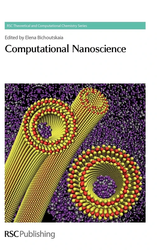 Computational Nanoscience: Rsc: Volume 4 (Theoretical and Computational Chemistry Series)