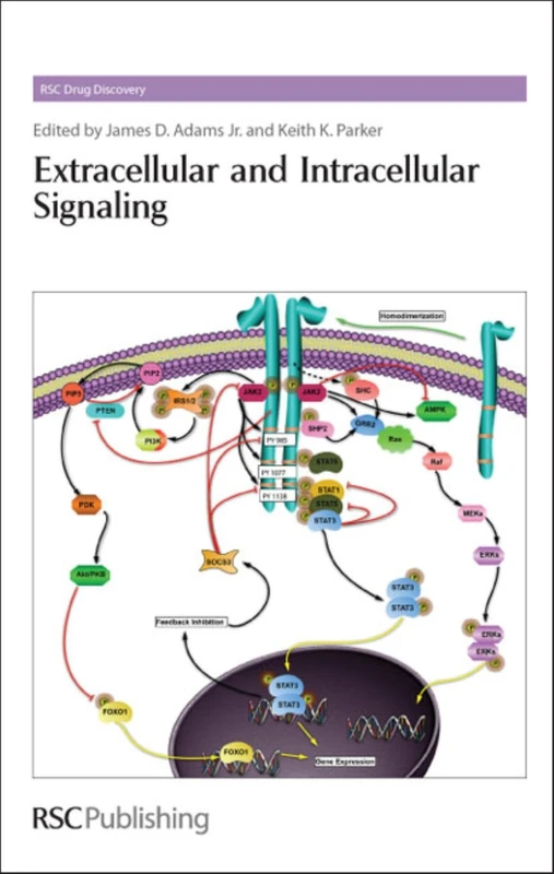 Extracellular and Intracellular Signaling: Volume 10 (Drug Discovery Series)
