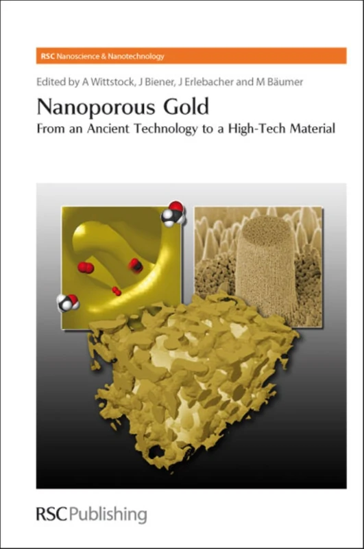Nanoporous Gold: From an Ancient Technology to a High-Tech Material: Volume 22 (Nanoscience & Nanotechnology Series)