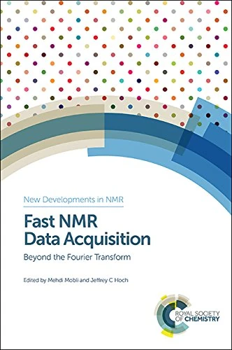 Fast NMR Data Acquisition: Beyond the Fourier Transform: Volume 11 (New Developments in NMR)