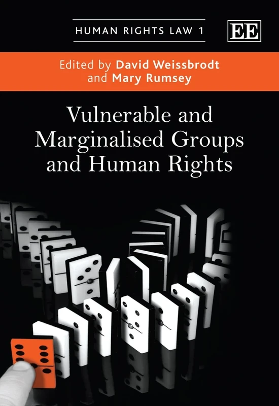 Vulnerable and Marginalised Groups and Human Rights (Human Rights Law series)