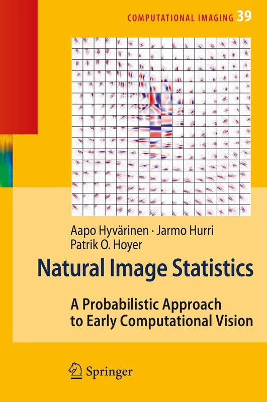 Springer Natural Image Statistics - Probabilistic Approach Book