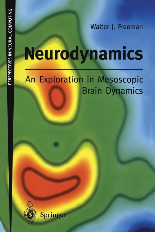 Neurodynamics: An Exploration in Mesoscopic Brain Dynamics (Perspectives in Neural Computing)