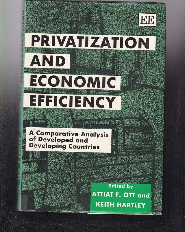 PRIVATIZATION AND ECONOMIC EFFICIENCY: A Comparative Analysis of Developed and Developing Countries