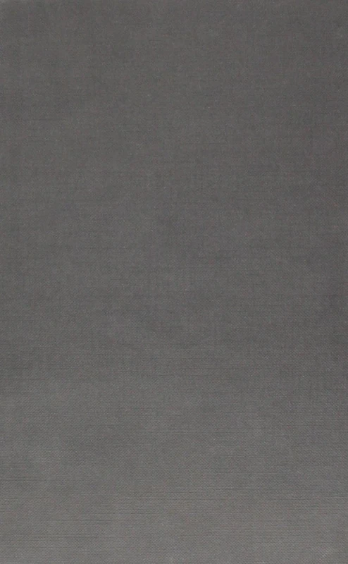 The Politics of Flexibility - Edward Elgar Publishing Book