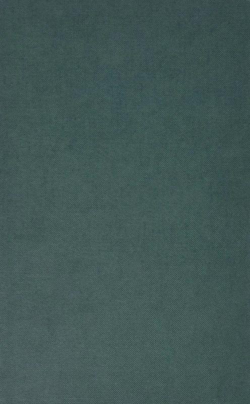 CLASSICAL ECONOMICS: An Austrian Perspective on the History of Economic Thought, Volume II: 002