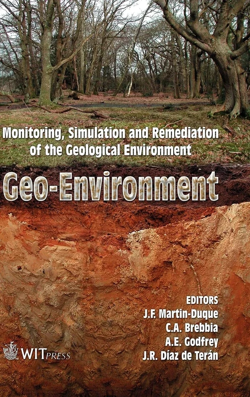 GeoEnvironment: Monitoring, Simulation and Remediation of the Geological Environment