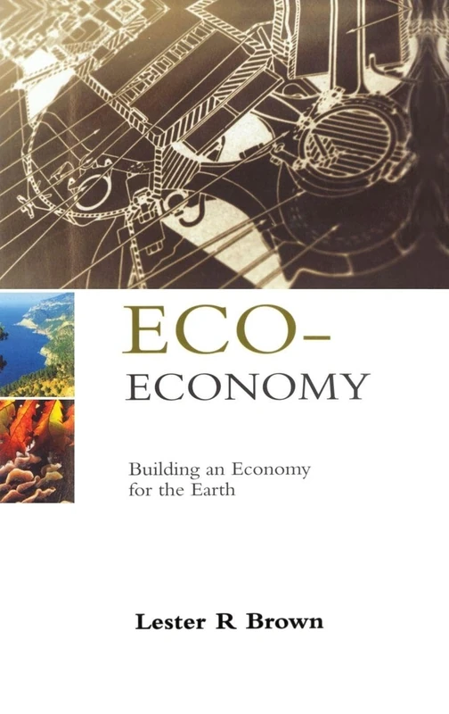 Eco-Economy: Building an Economy for the Earth - Routledge - Image 1