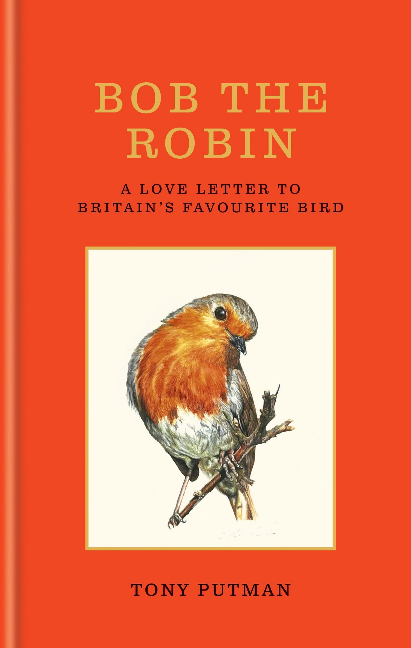 Bob the Robin: A true story of the friendship between one man and Britain's favourite garden bird