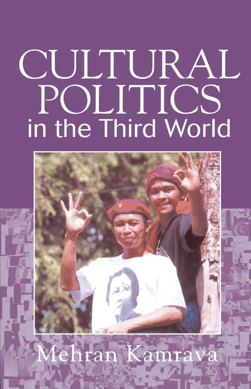Cultural Politics in the Third World