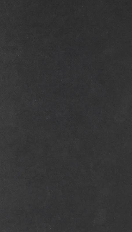 FUZZY SETS AND ECONOMICS: Applications of Fuzzy Mathematics to Non-Cooperative Oligopoly