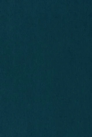 Bounded Rationality and Economic Evolution: A Contribution to Decision Making, Economics and Management