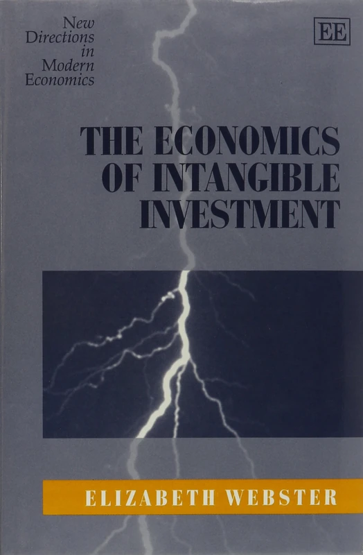 The Economics of Intangible Investment (New Directions in Modern Economics series)