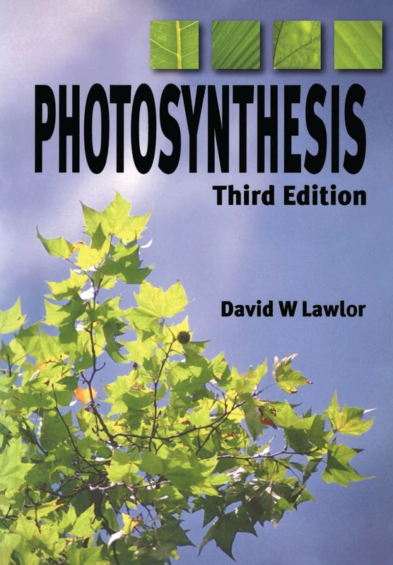 Photosynthesis - Image 1