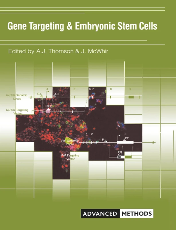 Gene Targeting and Embryonic Stem Cells (Advanced Methods)