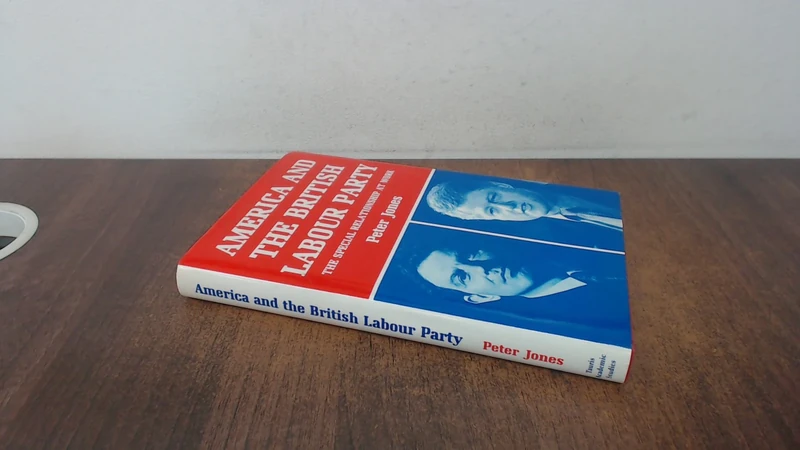 America and the British Labour Party: The Special Relationship at Work: v. 10 (Library of International Relations)