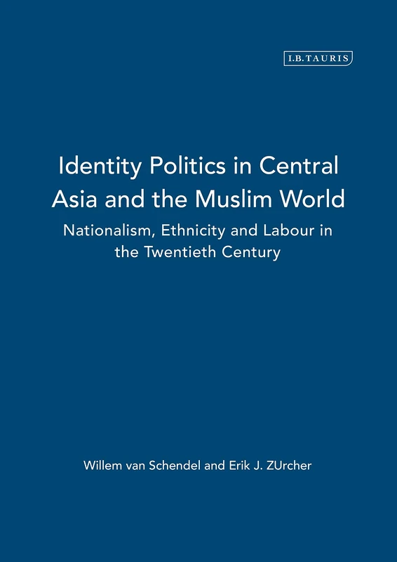 Identity, Politics in Central Asia and the Muslim World (Library of International Relations): Nationalism, Ethnicity and Labour in the Twentieth Century: v. 13